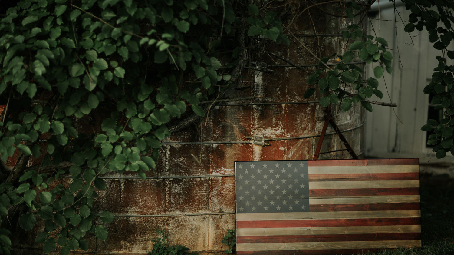 About Flag Day
