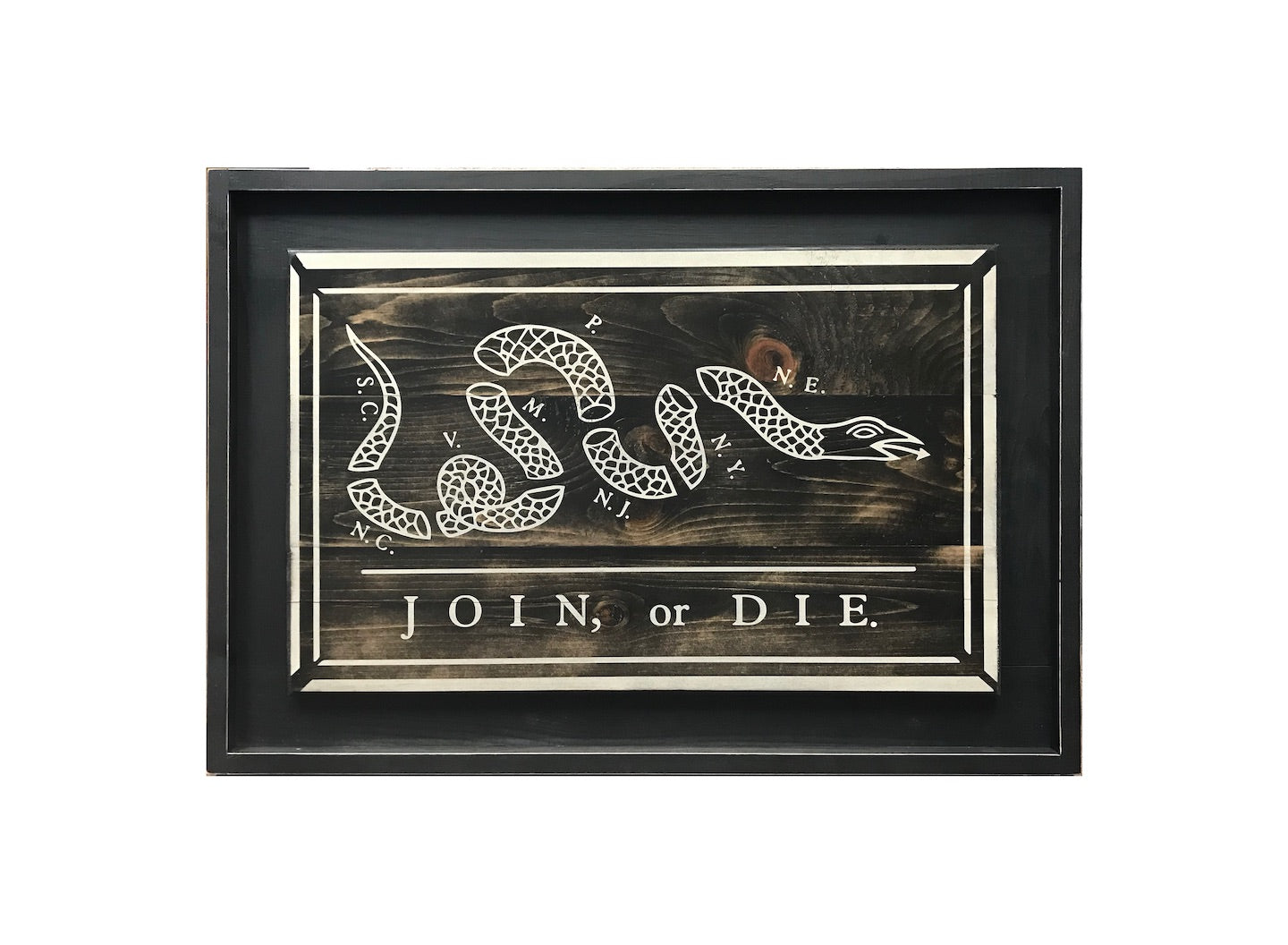 Join, or Die Flag