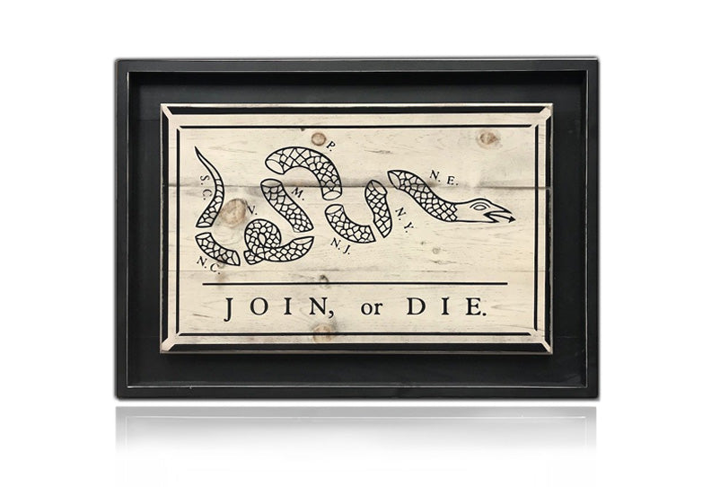 Join, or Die Flag